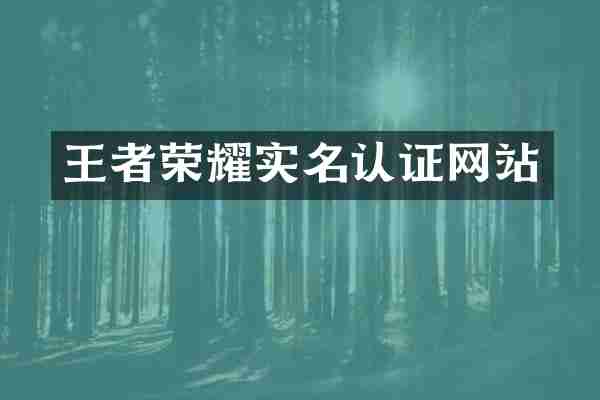 王者荣耀实名认证网站