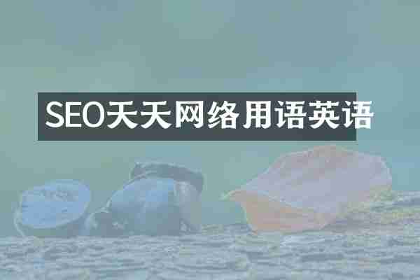 SEO天天网络用语英语