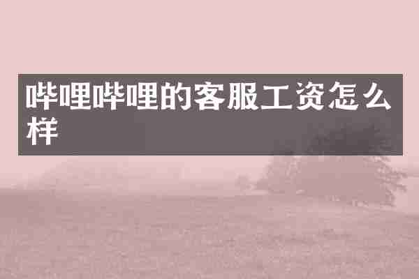 哔哩哔哩的客服工资怎么样