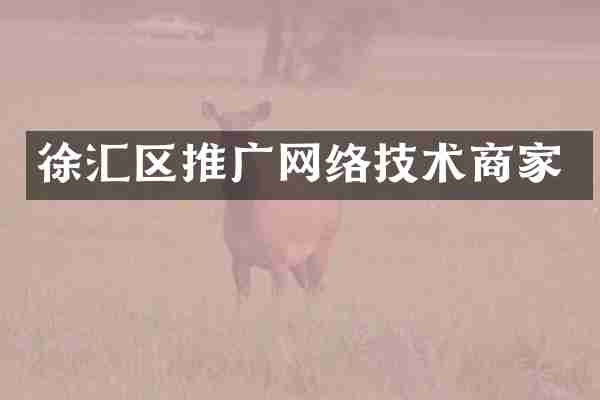 徐汇区推广网络技术商家