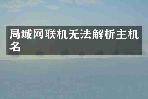 局域网联机无法解析主机名