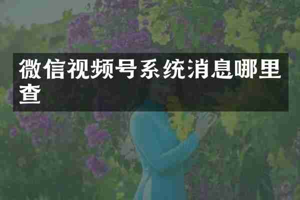微信视频号系统消息哪里查