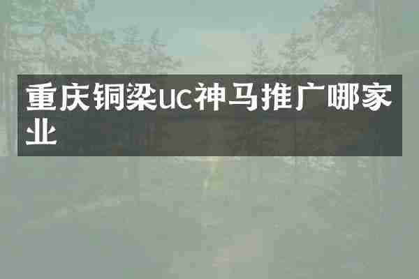 重庆铜梁uc神马推广哪家专业