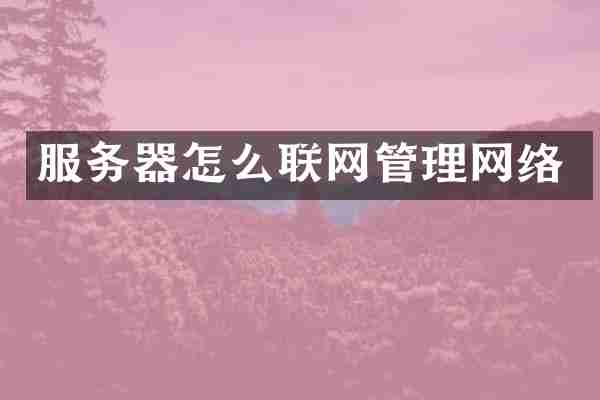 服务器怎么联网管理网络