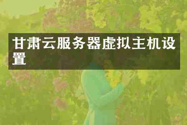 甘肃云服务器虚拟主机设置
