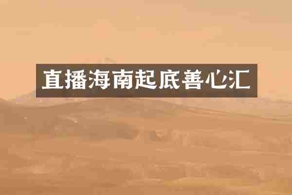 直播海南起底