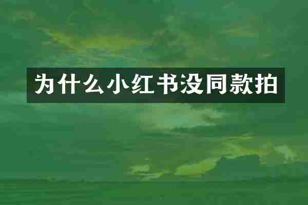 为什么小红书没同款拍