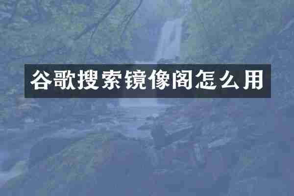 谷歌搜索镜像阁怎么用