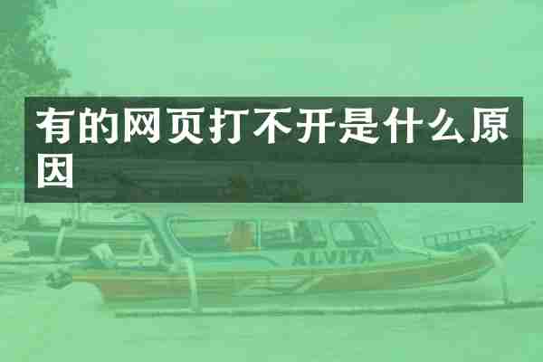 有的网页打不开是什么原因