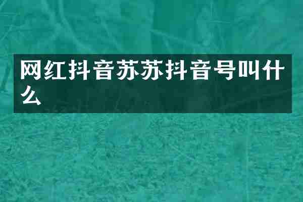 网红抖音苏苏抖音号叫什么
