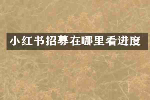 小红书招募在哪里看进度
