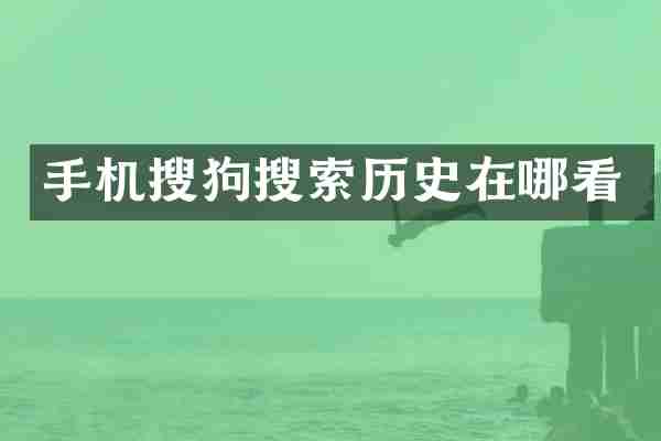手机搜狗搜索历史在哪看