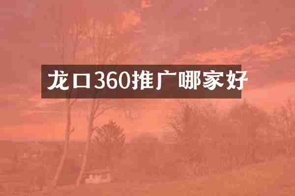 龙口360推广哪家好