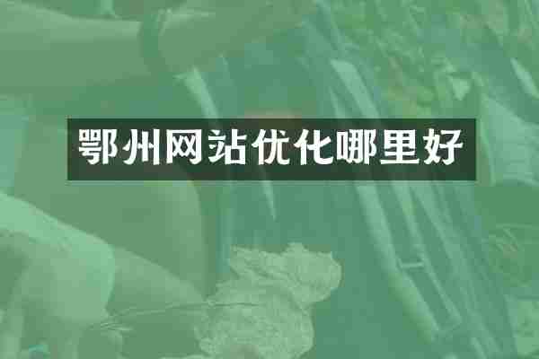鄂州网站优化哪里好