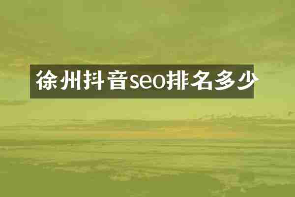 徐州抖音seo排名多少