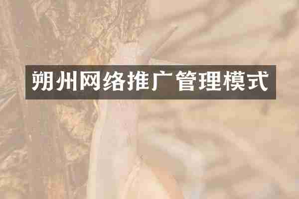 朔州网络推广管理模式
