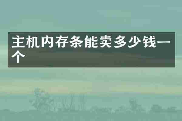 主机内存条能卖多少钱一个