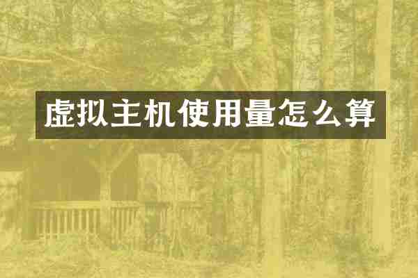 虚拟主机使用量怎么算