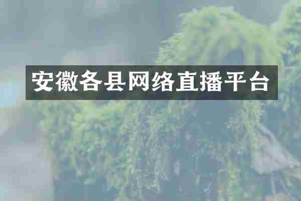 安徽各县网络直播平台