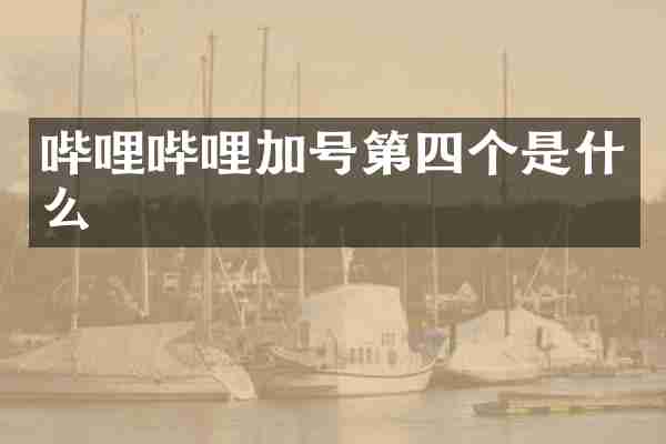 哔哩哔哩加号第四个是什么