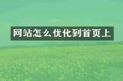 网站怎么优化到首页上