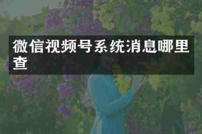 微信视频号系统消息哪里查