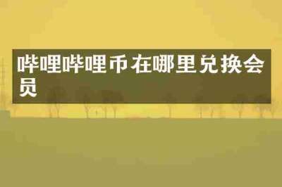 哔哩哔哩币在哪里兑换会员
