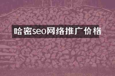哈密seo网络推广价格