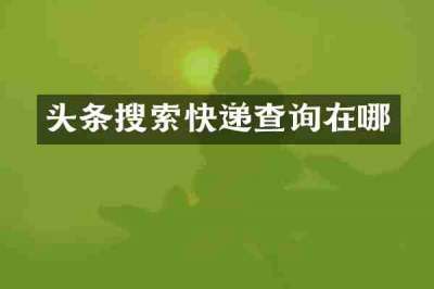 头条搜索快递查询在哪