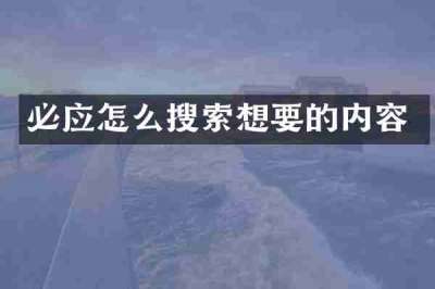 必应怎么搜索想要的内容