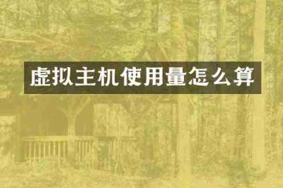 虚拟主机使用量怎么算