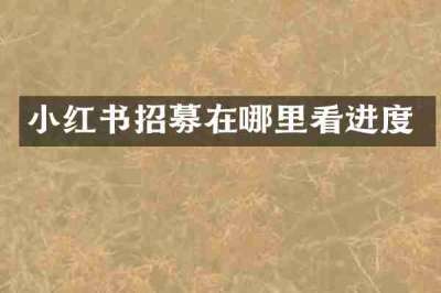 小红书招募在哪里看进度
