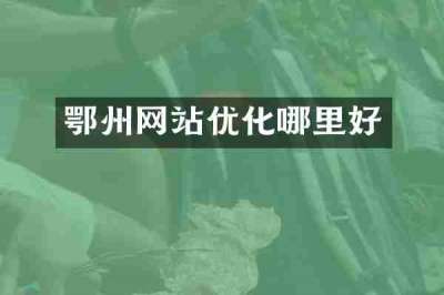 鄂州网站优化哪里好