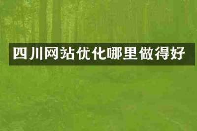 四川网站优化哪里做得好