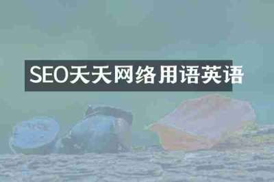 SEO天天网络用语英语