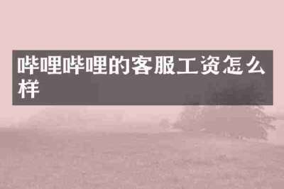 哔哩哔哩的客服工资怎么样