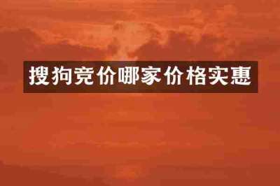 搜狗竞价哪家价格实惠
