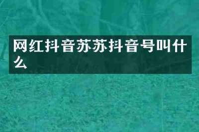 网红抖音苏苏抖音号叫什么
