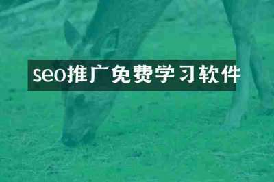 seo推广免费学习软件