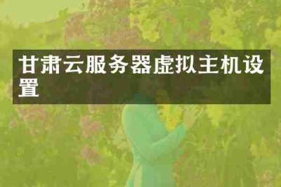 甘肃云服务器虚拟主机设置