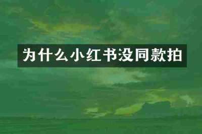 为什么小红书没同款拍