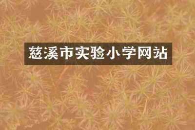 慈溪市实验小学网站