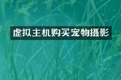虚拟主机购买宠物摄影