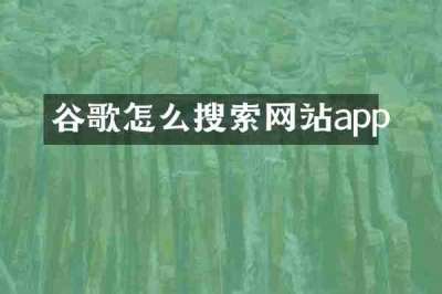 谷歌怎么搜索网站app