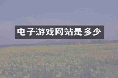 电子游戏网站是多少