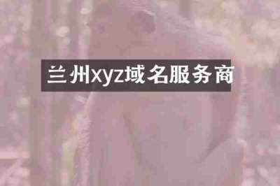 兰州xyz域名服务商