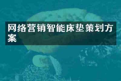 网络营销智能床垫策划方案