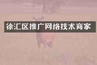徐汇区推广网络技术商家