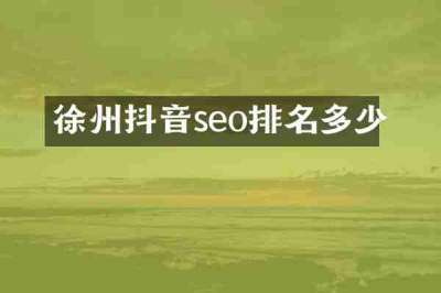 徐州抖音seo排名多少