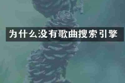 为什么没有歌曲搜索引擎